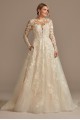 Lace Illusion Long Sleeve Tall Wedding Dress  4XLSLCWG833