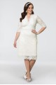 Luxe Lace Plus Size Short Wedding Dress 19090901