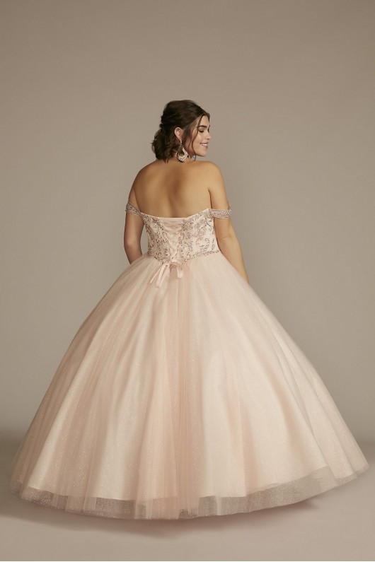 Off-the-Shoulder Beaded Plus Size Quince Ball Gown Fifteen Roses 8FR2201