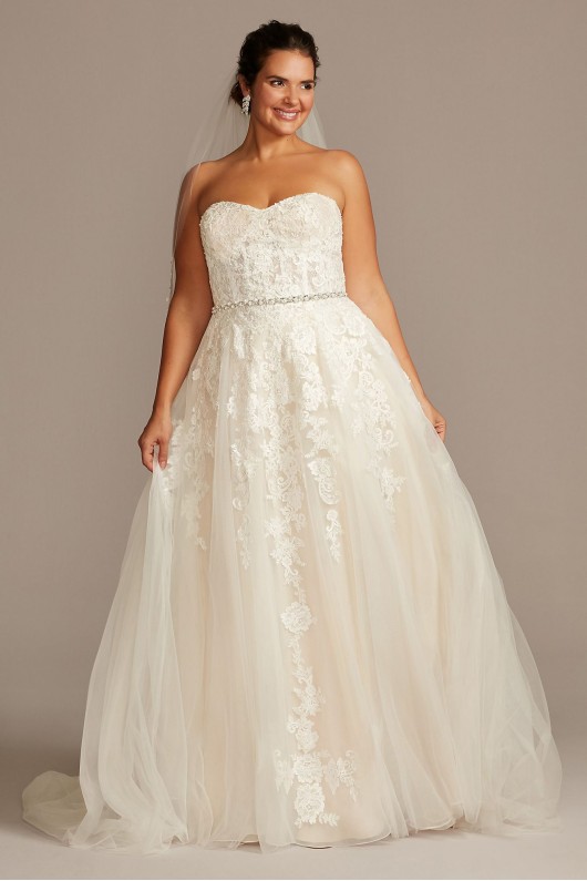 Sheer Lace and Tulle Plus Size Wedding Dress Collection 9WG3861